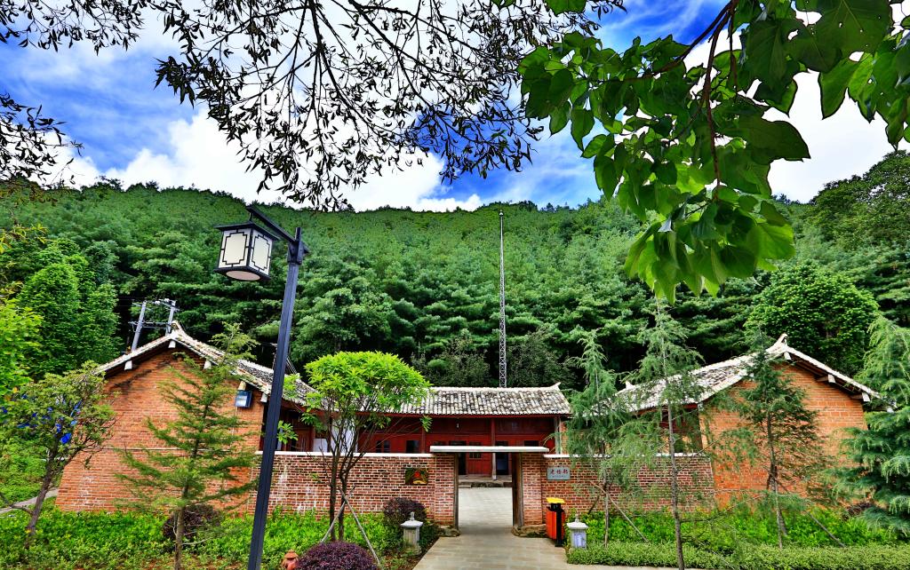 育林根基
